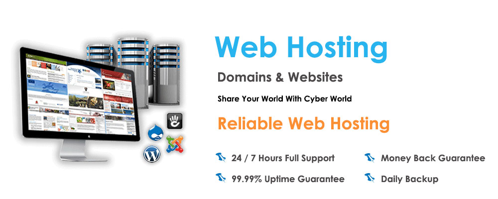 Hosting & Domain